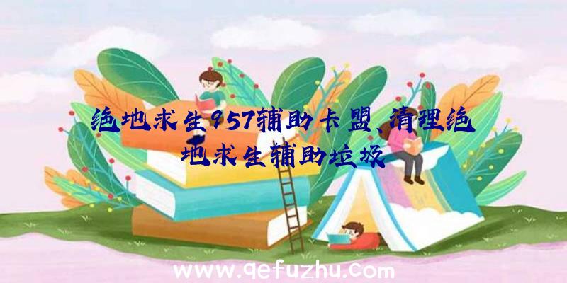 绝地求生957辅助卡盟、清理绝地求生辅助垃圾