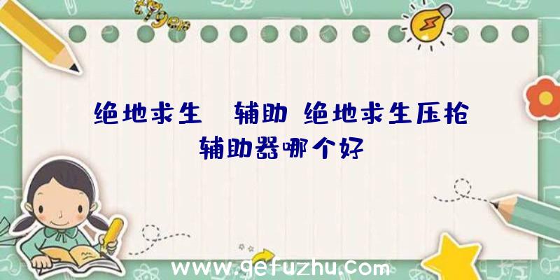 绝地求生DX辅助、绝地求生压枪辅助器哪个好