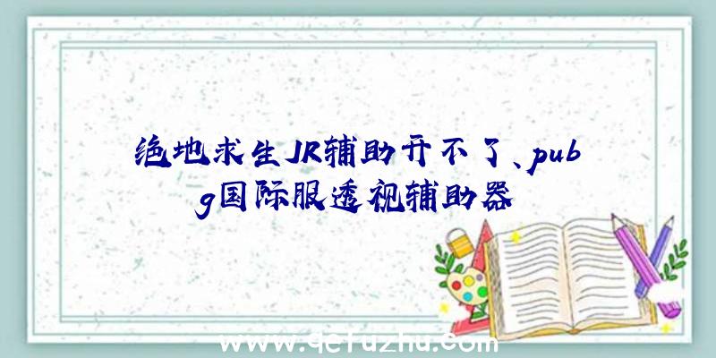 绝地求生JR辅助开不了、pubg国际服透视辅助器