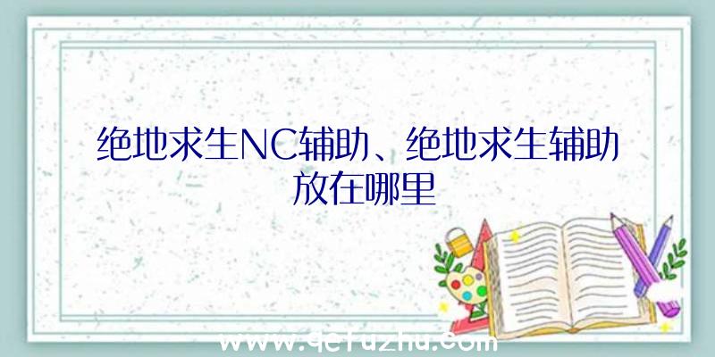 绝地求生NC辅助、绝地求生辅助