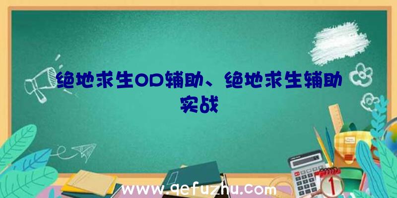 绝地求生OD辅助、绝地求生辅助实战