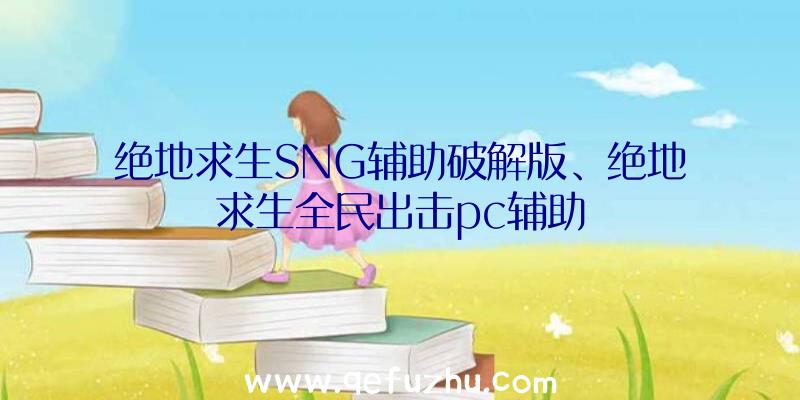 绝地求生SNG辅助破解版、绝地求生全民出击pc辅助