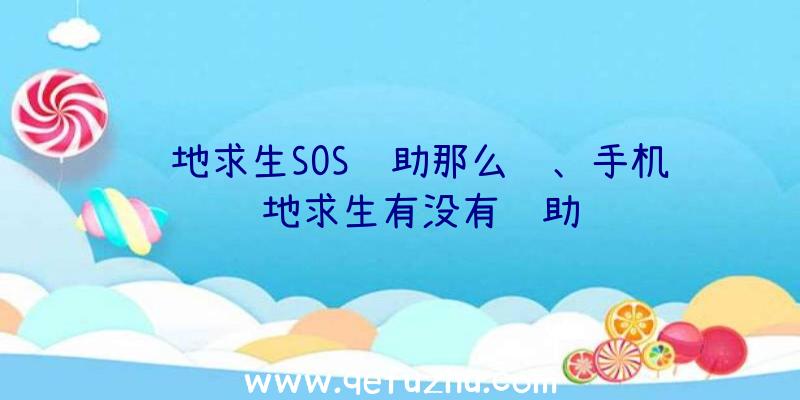 绝地求生SOS辅助那么贵、手机绝地求生有没有辅助