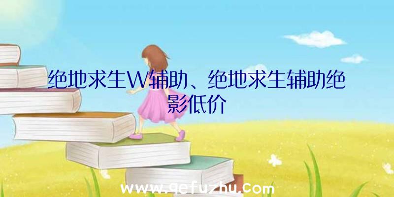 绝地求生W辅助、绝地求生辅助绝影低价