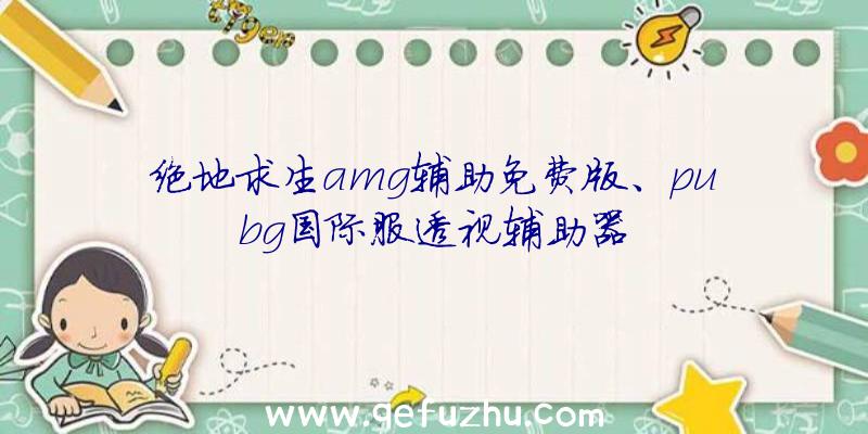 绝地求生amg辅助免费版、pubg国际服透视辅助器