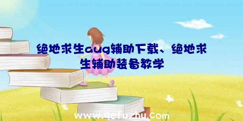 绝地求生aug辅助下载、绝地求生辅助装备教学