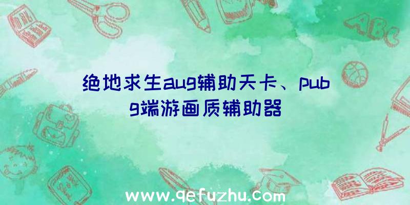 绝地求生aug辅助天卡、pubg端游画质辅助器