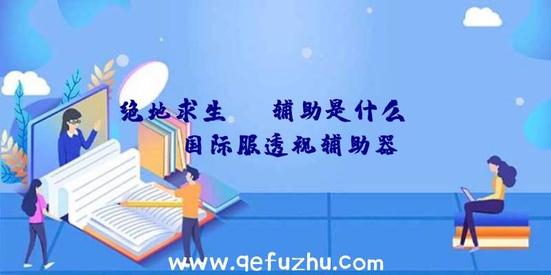 绝地求生bat辅助是什么、pubg国际服透视辅助器