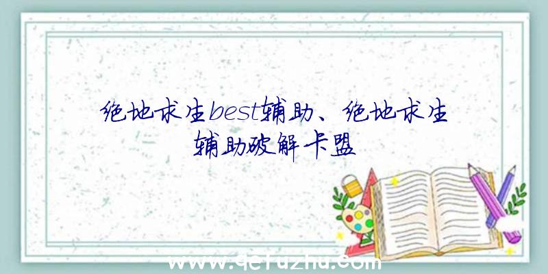 绝地求生best辅助、绝地求生辅助破解卡盟