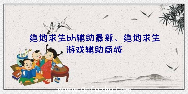 绝地求生bh辅助最新、绝地求生游戏辅助商城