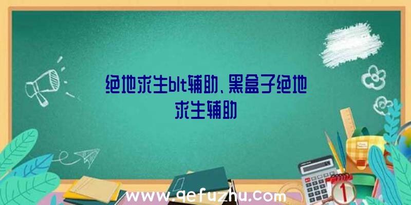 绝地求生blt辅助、黑盒子绝地求生辅助