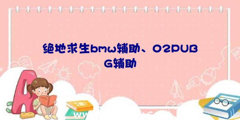 绝地求生bmw辅助、02PUBG辅助