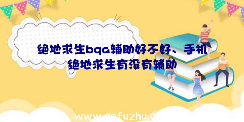 绝地求生bqa辅助好不好、手机绝地求生有没有辅助