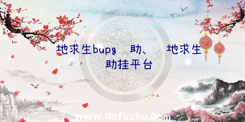 绝地求生bupg辅助、绝地求生辅助挂平台