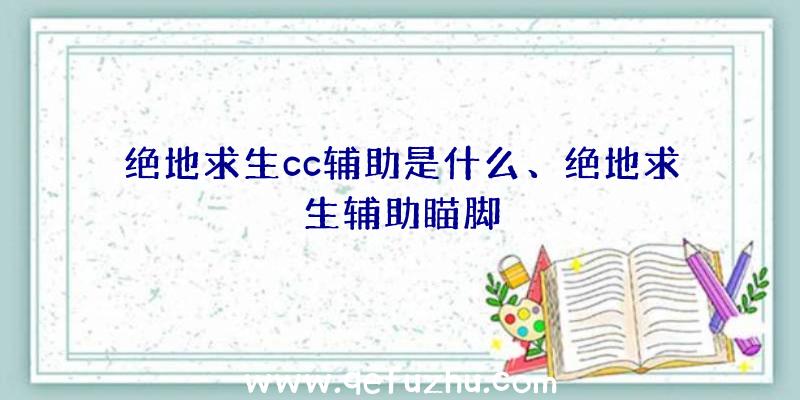 绝地求生cc辅助是什么、绝地求生辅助瞄脚