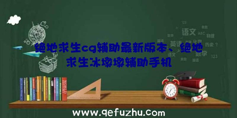 绝地求生cg辅助最新版本、绝地求生冰墩墩辅助手机