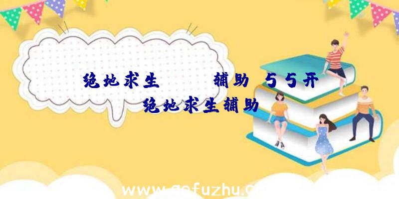 绝地求生china辅助、55开绝地求生辅助