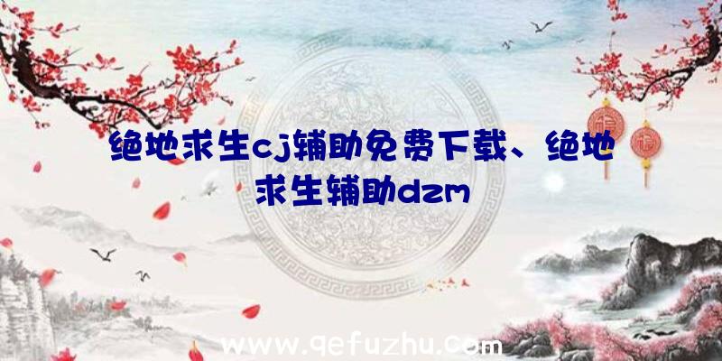 绝地求生cj辅助免费下载、绝地求生辅助dzm