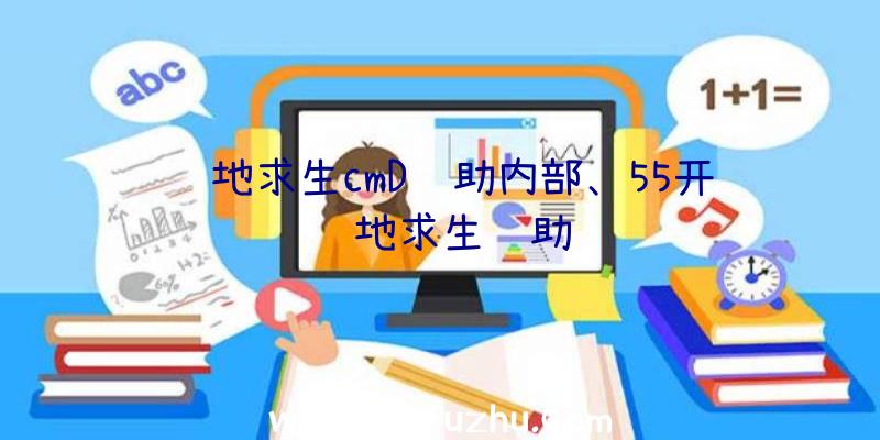 绝地求生cmD辅助内部、55开绝地求生辅助