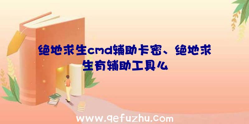 绝地求生cmd辅助卡密、绝地求生有辅助工具么