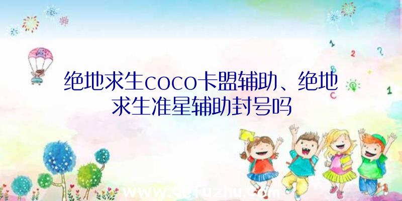 绝地求生coco卡盟辅助、绝地求生准星辅助封号吗