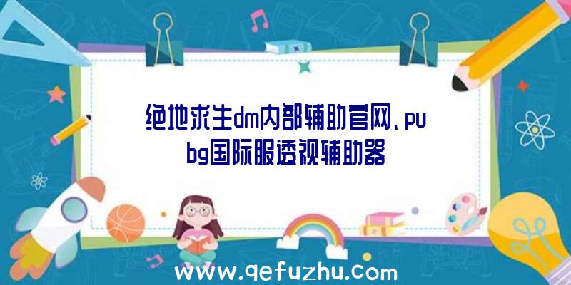 绝地求生dm内部辅助官网、pubg国际服透视辅助器