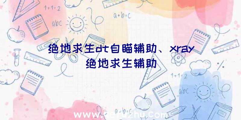 绝地求生dt自瞄辅助、xray绝地求生辅助