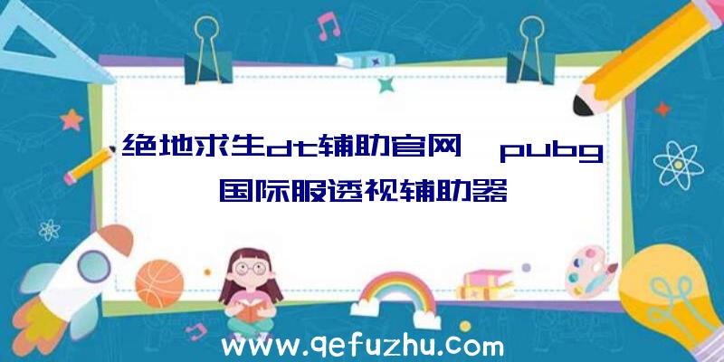 绝地求生dt辅助官网、pubg国际服透视辅助器