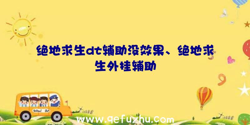 绝地求生dt辅助没效果、绝地求生外挂辅助