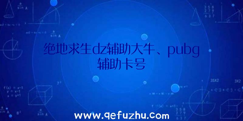 绝地求生dz辅助大牛、pubg辅助卡号