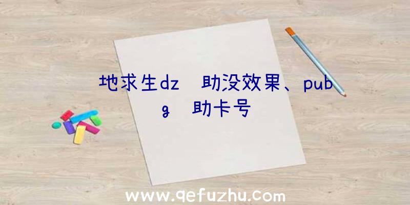 绝地求生dz辅助没效果、pubg辅助卡号