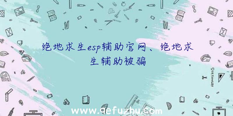 绝地求生esp辅助官网、绝地求生辅助被骗