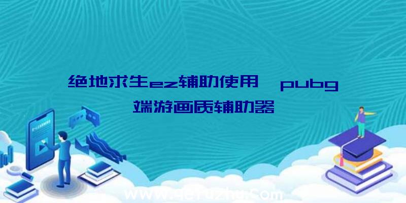 绝地求生ez辅助使用、pubg端游画质辅助器