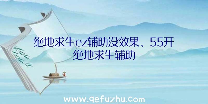 绝地求生ez辅助没效果、55开绝地求生辅助