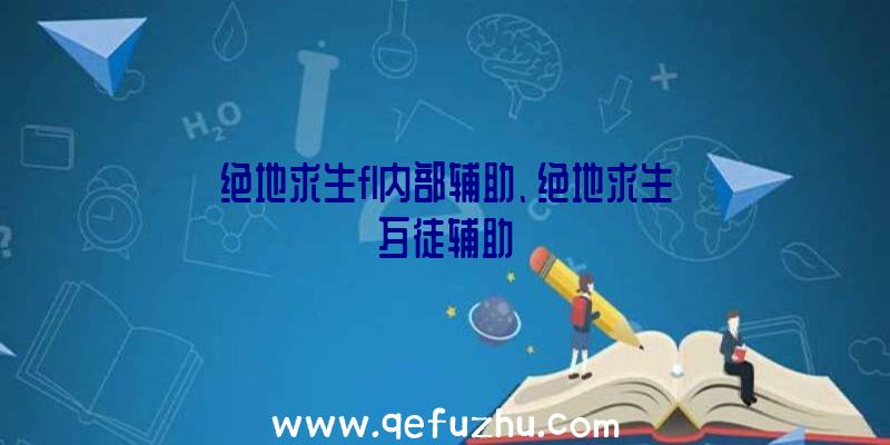 绝地求生fl内部辅助、绝地求生歹徒辅助