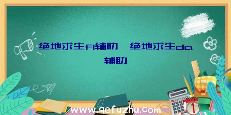 绝地求生fl辅助、绝地求生da辅助