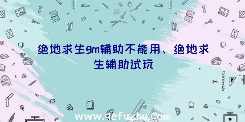 绝地求生gm辅助不能用、绝地求生辅助试玩