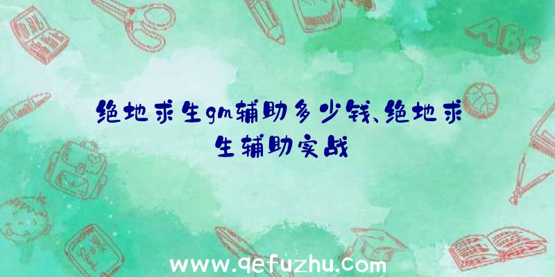 绝地求生gm辅助多少钱、绝地求生辅助实战