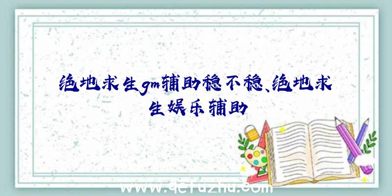 绝地求生gm辅助稳不稳、绝地求生娱乐辅助