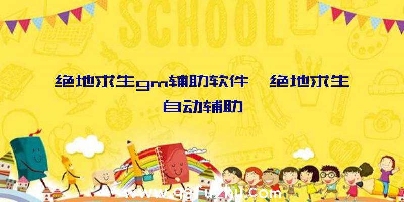 绝地求生gm辅助软件、绝地求生自动辅助