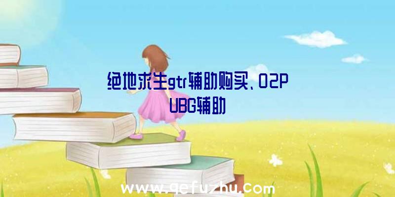 绝地求生gtr辅助购买、02PUBG辅助