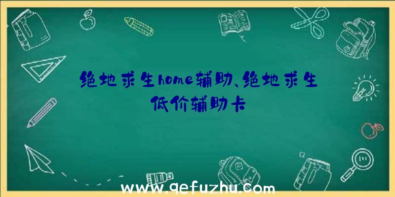 绝地求生home辅助、绝地求生低价辅助卡