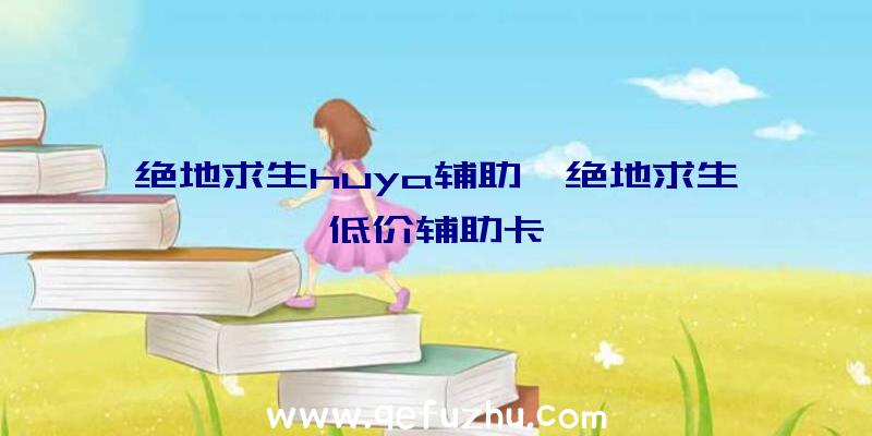 绝地求生huya辅助、绝地求生低价辅助卡