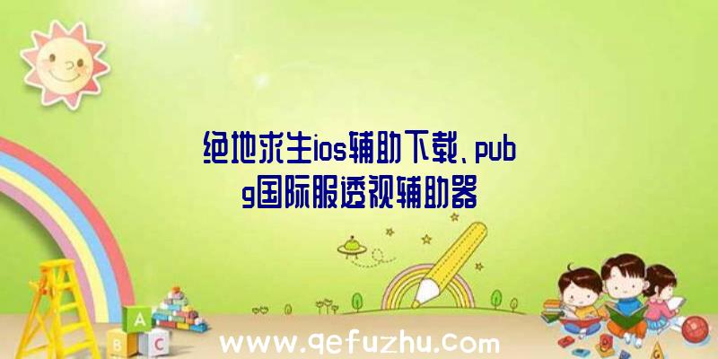 绝地求生ios辅助下载、pubg国际服透视辅助器