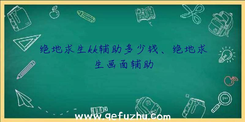 绝地求生kk辅助多少钱、绝地求生画面辅助