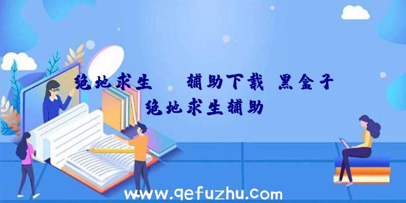 绝地求生kof辅助下载、黑盒子绝地求生辅助