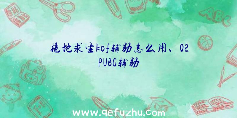 绝地求生kof辅助怎么用、02PUBG辅助