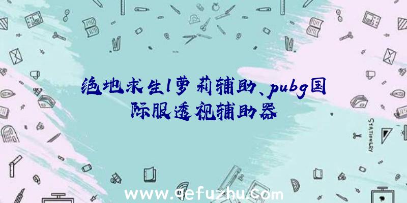 绝地求生l萝莉辅助、pubg国际服透视辅助器