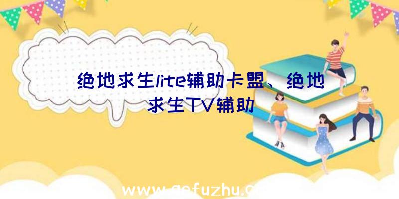 绝地求生lite辅助卡盟、绝地求生TV辅助