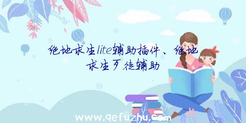 绝地求生lite辅助插件、绝地求生歹徒辅助